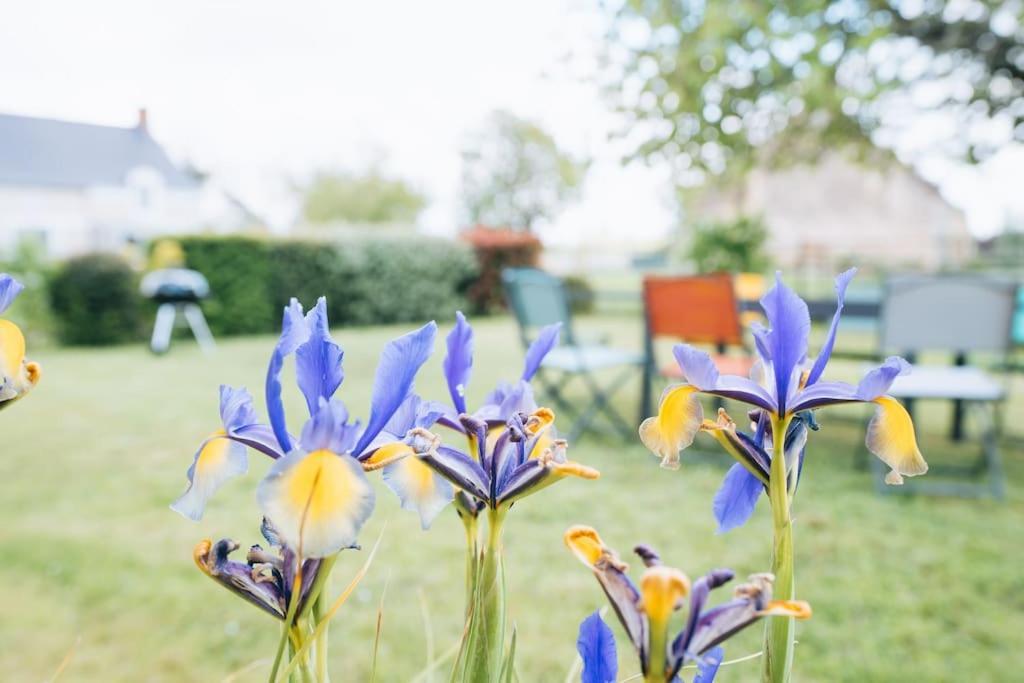 Le Beaumont • La Belle Campagne • La Plenitude Villa Déols Екстериор снимка